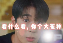 探寻语义错误朴栖含电脑壁纸的奇妙之处（解读壁纸中的语义错误，发现隐藏的艺术细节）