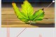 优化手机图片大小的技巧（简单操作让手机照片小而精）
