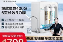 林斯特净水器——高效净化水源的首选（保护健康，享受优质水源，林斯特净水器的卓越品质引领行业潮流）