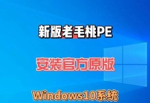 使用U盘PE安装系统，快速搭建电脑操作系统（通过U盘深度启动盘PE安装系统，轻松解决系统安装问题）