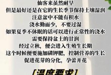 冬季仙客来养护之妙招（打造美丽花坛，关键是冬季养护）