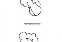 以大白菜ISO制作教程（大白菜ISO制作教程，让你尽享健康美味）