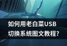 使用戴尔USB安装系统教程（快速、简便的戴尔USB系统安装指南）