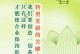 深入了解NVIDIA385.41驱动的优势与使用技巧（最新驱动版本的关键更新和性能提升）