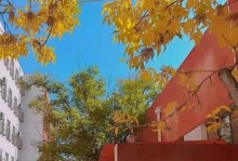 四合传媒（打造创新的传媒平台，引领未来媒体发展潮流）