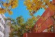 四合传媒（打造创新的传媒平台，引领未来媒体发展潮流）