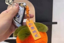 老桃毛装机教程（教你如何根据需求选择硬件配件，提升电脑性能，成为装机高手）