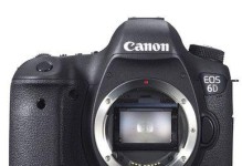 佳能6D单反相机的优点和特点（一款适合专业摄影师的高性能相机）