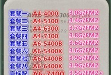 探索A45300在现代社会中的应用与价值（发挥A45300的独特特性，为科技进步带来巨大贡献）