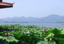 西湖十景的独特之处（探寻西湖十景的奇妙魅力）