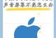 笔记本开机屏幕不亮的原因及解决方法（探究笔记本开机屏幕无显示的常见问题和解决方案）